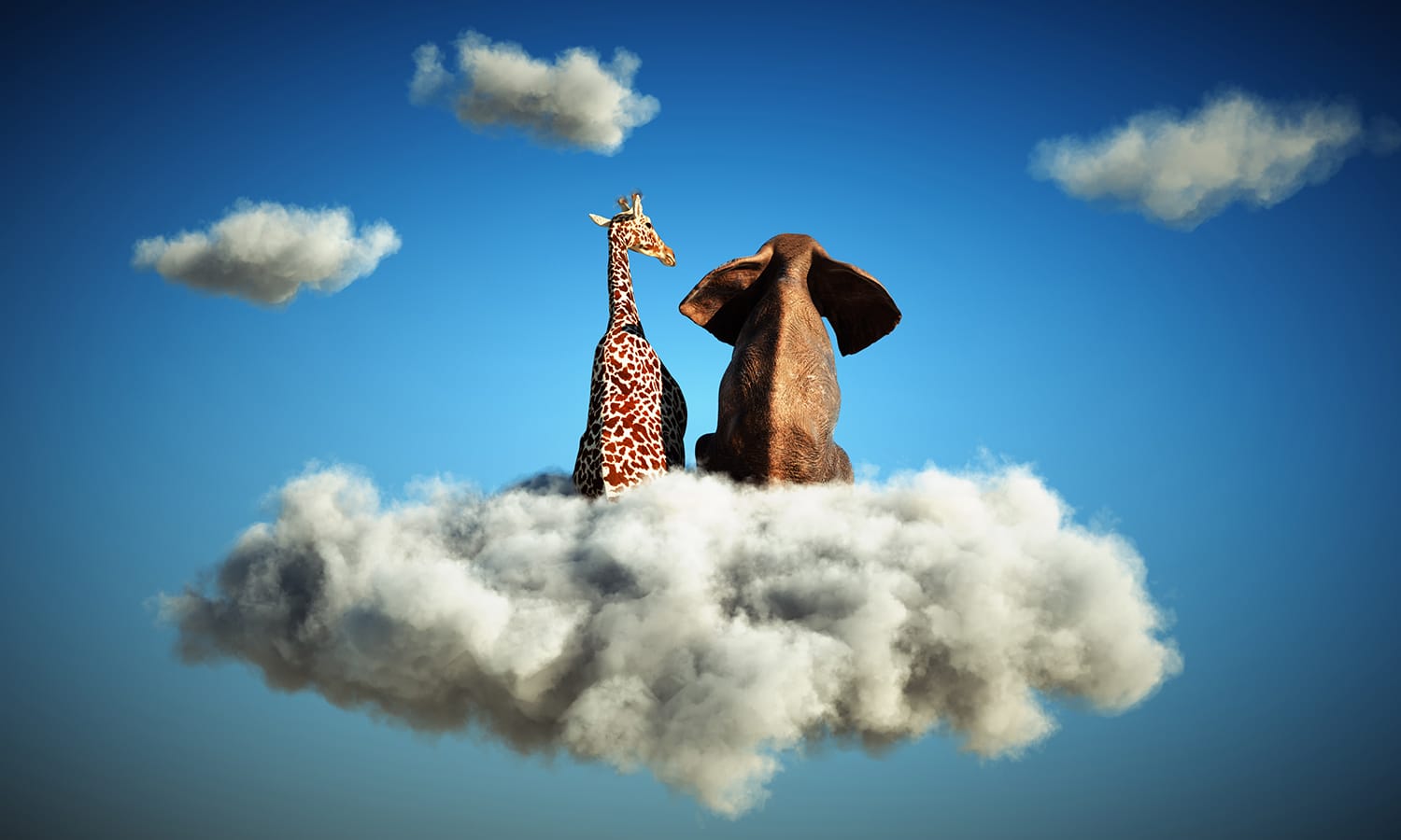 Wertschätzung und Vertrauen in der Zusammenarbeit - elefant und giraffe sitzen auf wolke 7