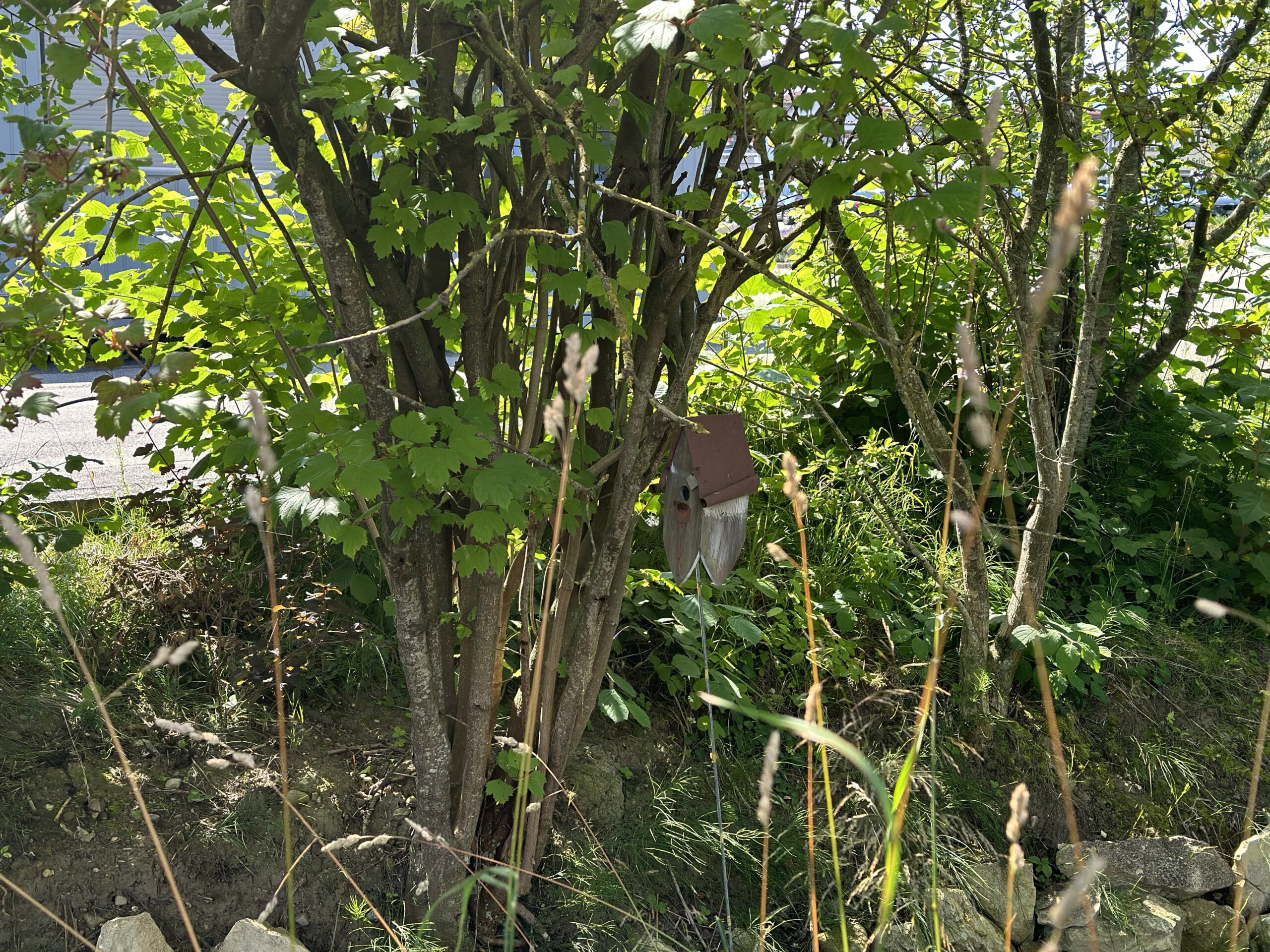 Mein Tag in Bildern und der frühe Vogel