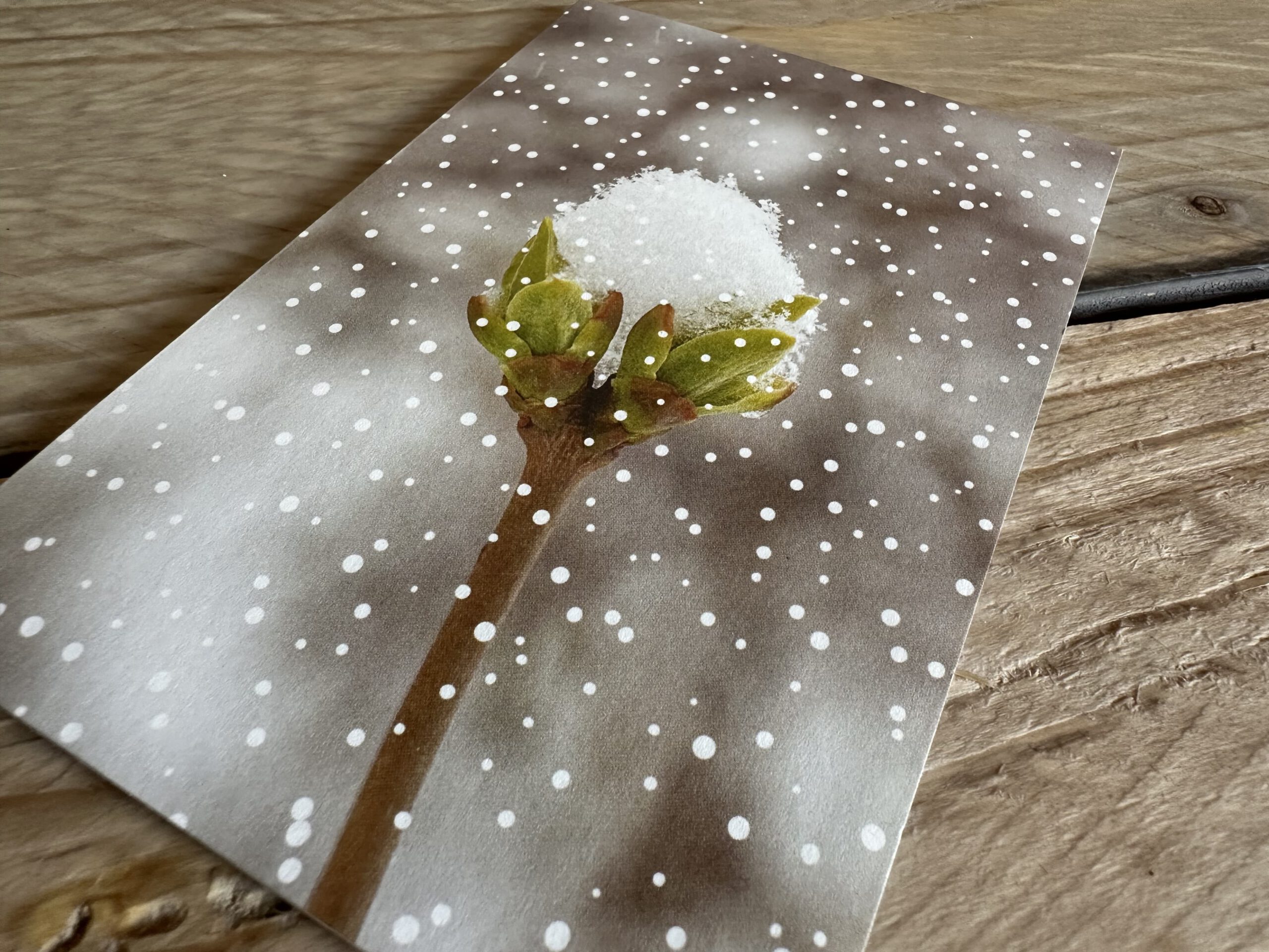Weihnachtskarte Firmen mit Schnee