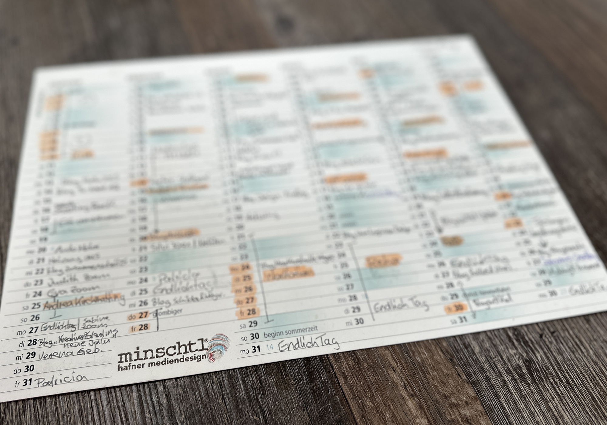 Featured image for “Sichtbar im Wandel – Rückblick auf das erste Halbjahr 2025 ”