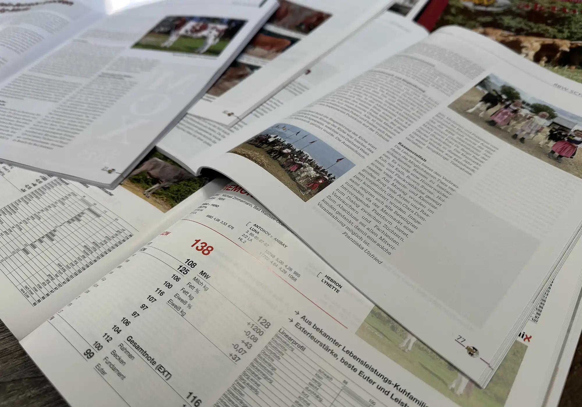 Magazin-Design mit Layouts und Beispielen