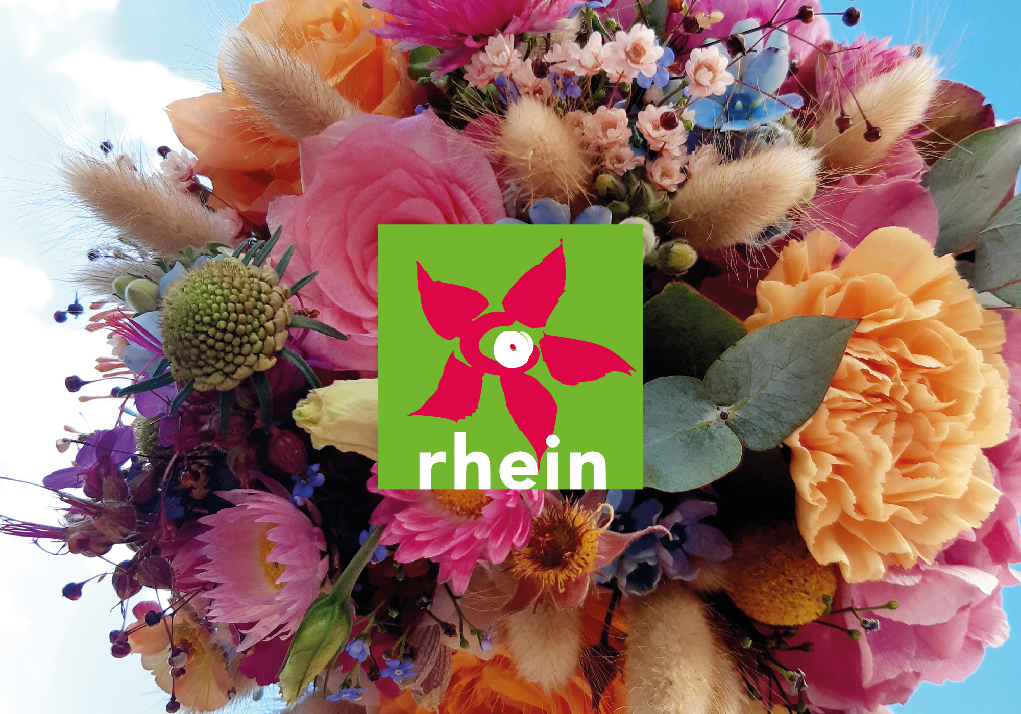 Floristik Rhein