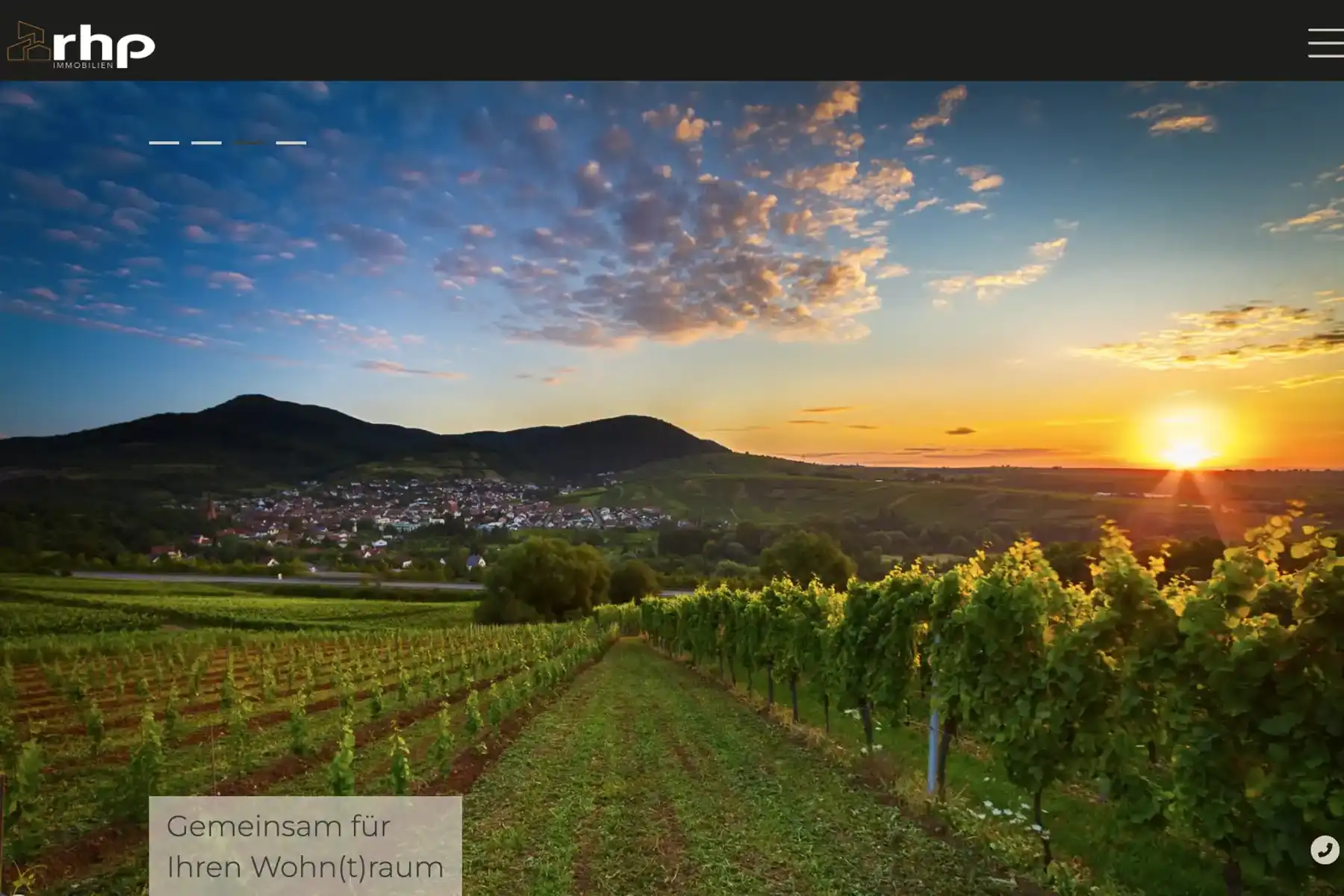 Mimschtl Webdesign Mockup Rhp01