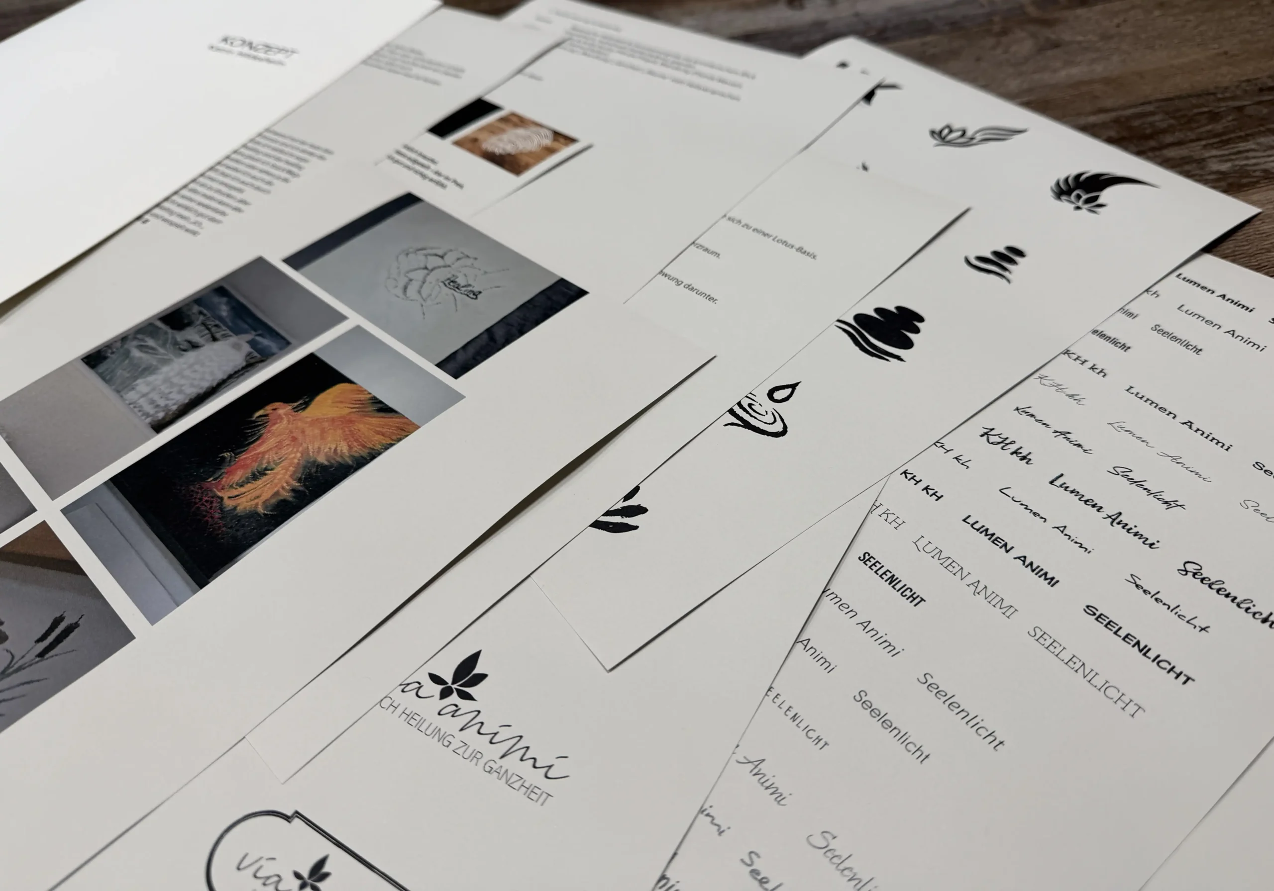 Erste Ideen und Designkonzept für den Markenauftritt von via animi®