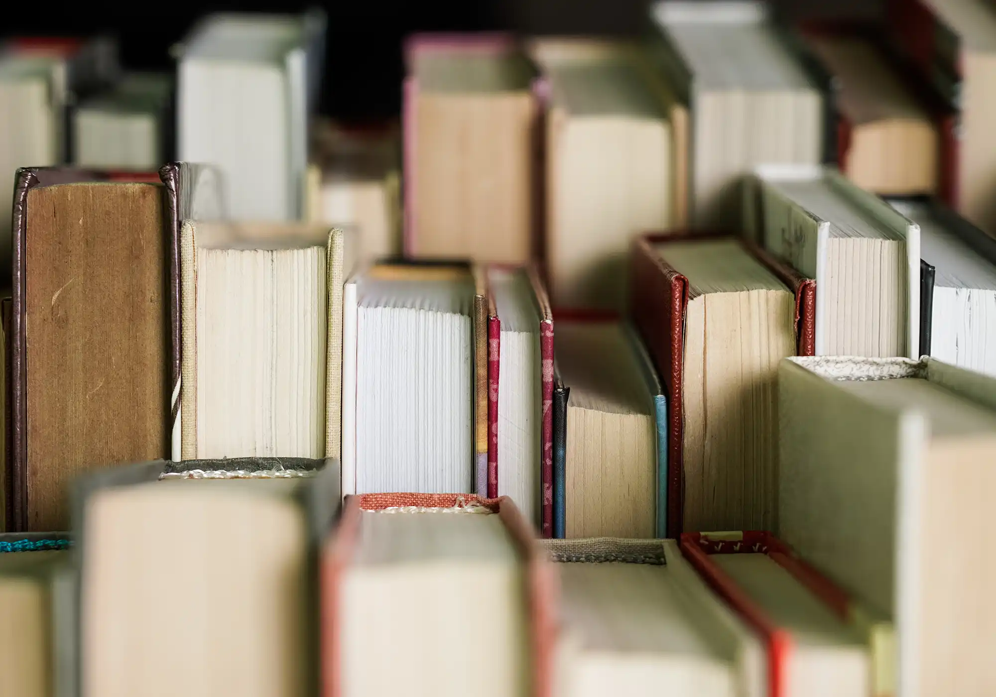 Verschiedene Bücher stehen für inspirierende Buchempfehlungen, persönliche Lieblingsbücher und neue Lesetipps